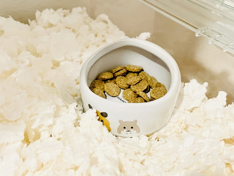 キンクマハムスターの餌の量はどれくらい 食事のルール４か条をご紹介 はむれぽ